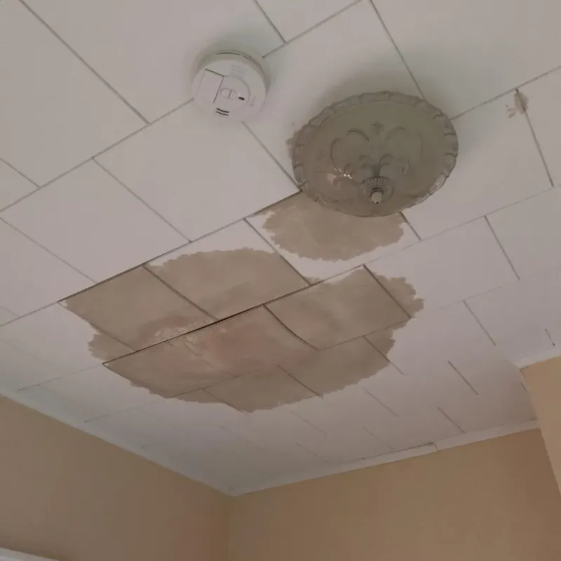 Ceiling Water Damage Repair in City of Williamsburg, VA