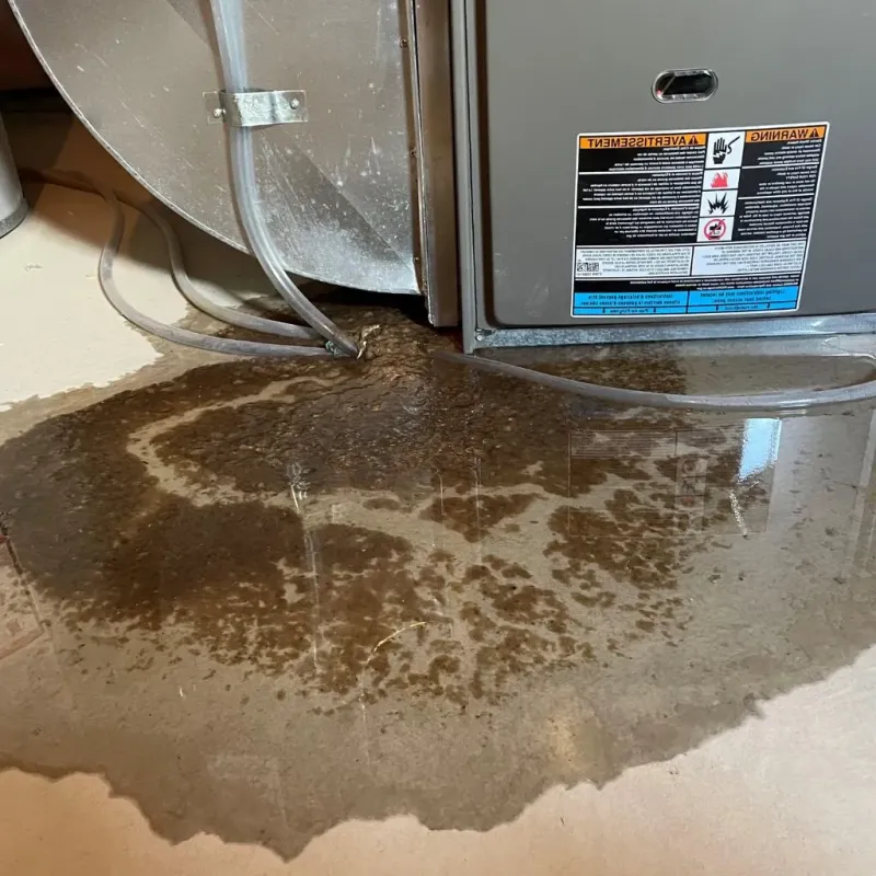 Pipe Burst and Leak Restoration in City of Williamsburg, VA