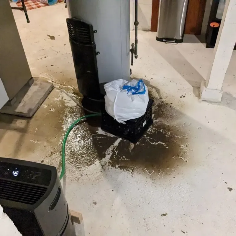 Sewage Backup Cleanup Service in City of Williamsburg, VA